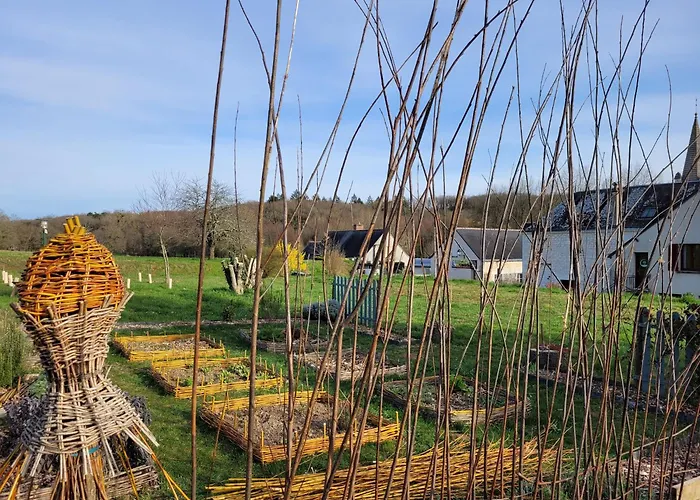 Bulle De Campagne A Saint Benoit La Foret