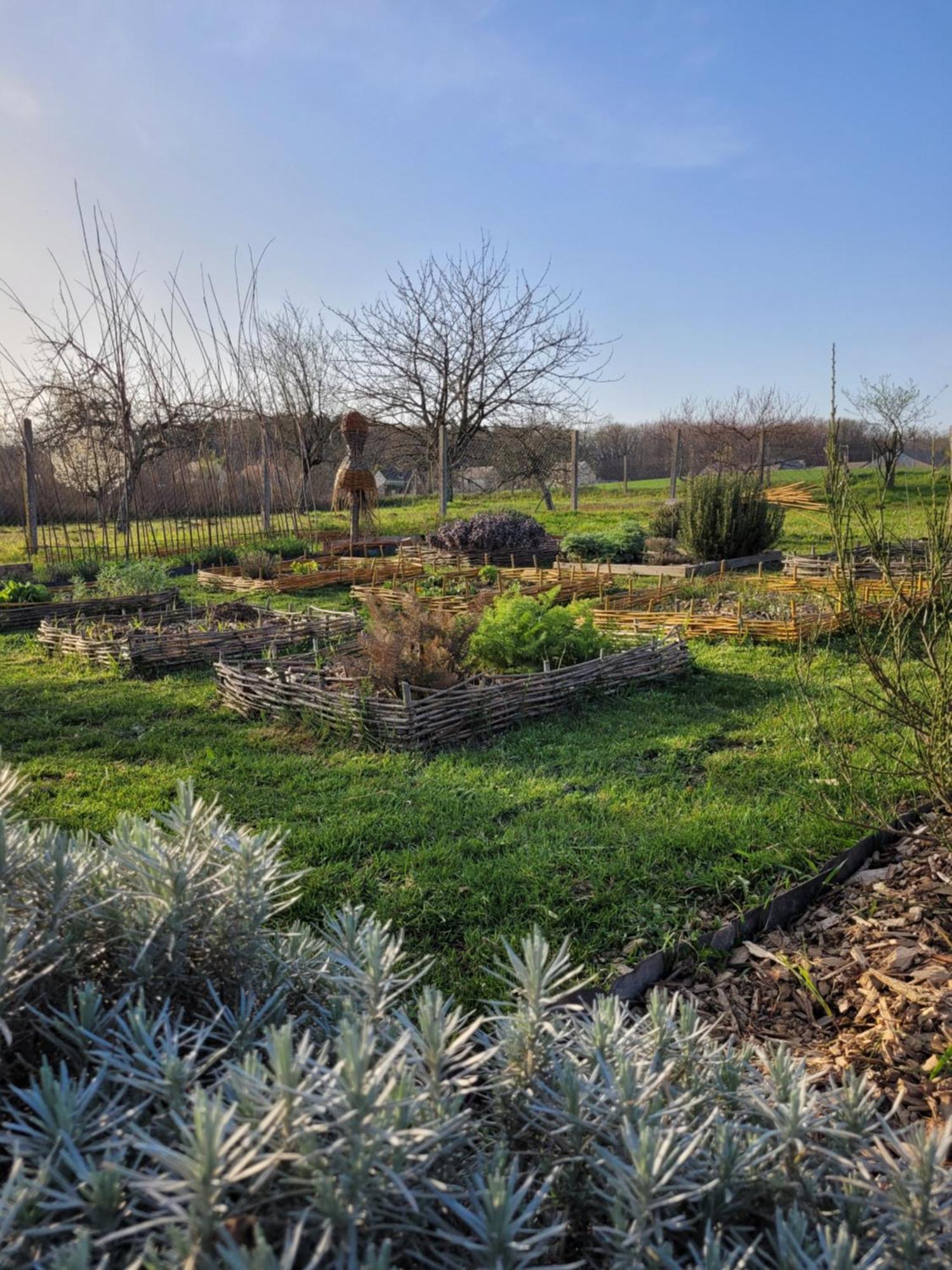 Bulle De Campagne A Benoit La Foret