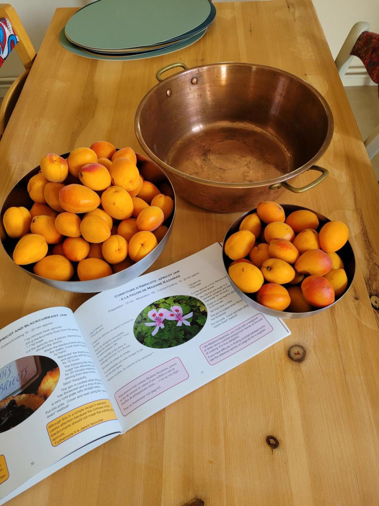 Hébergement de vacances Bulle De Campagne à Benoit La Forêt *
